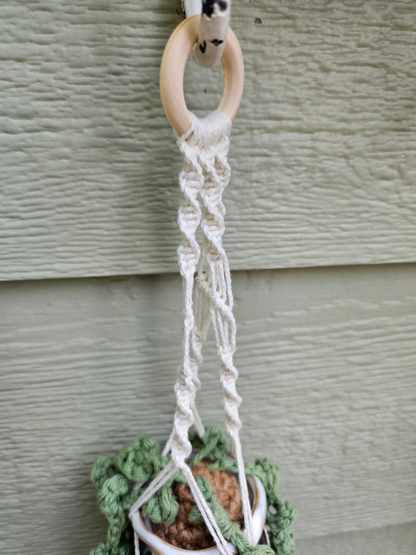 Crochet and Macrame Mini Hanging Potted Plant - Ceramic